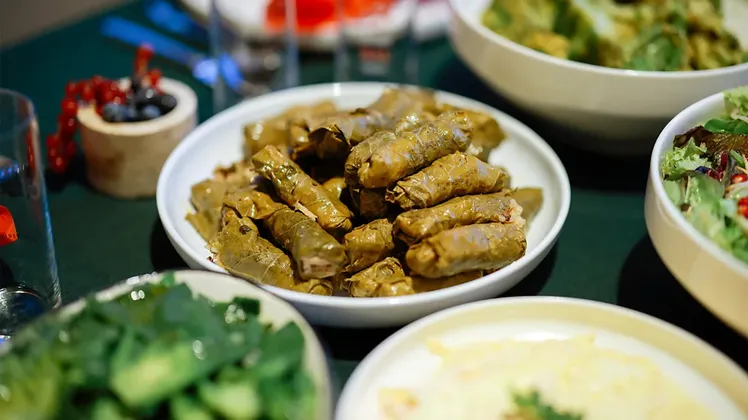 ডলমার থালা